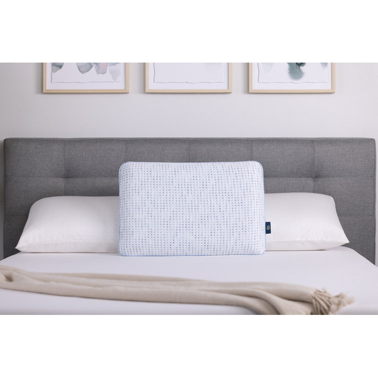 Beautyrest aquacool memory foam pillow clearance reviews